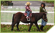 Pony Rides NJ
