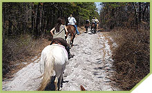 Horse riding NJ - Pony Rides NJ